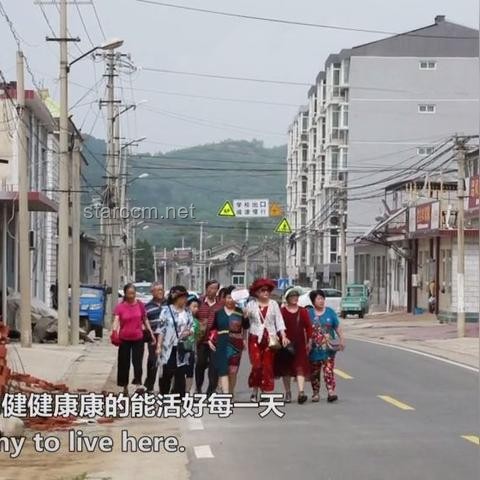 只同住不结婚的年轻人后来怎样了：实用生活指南